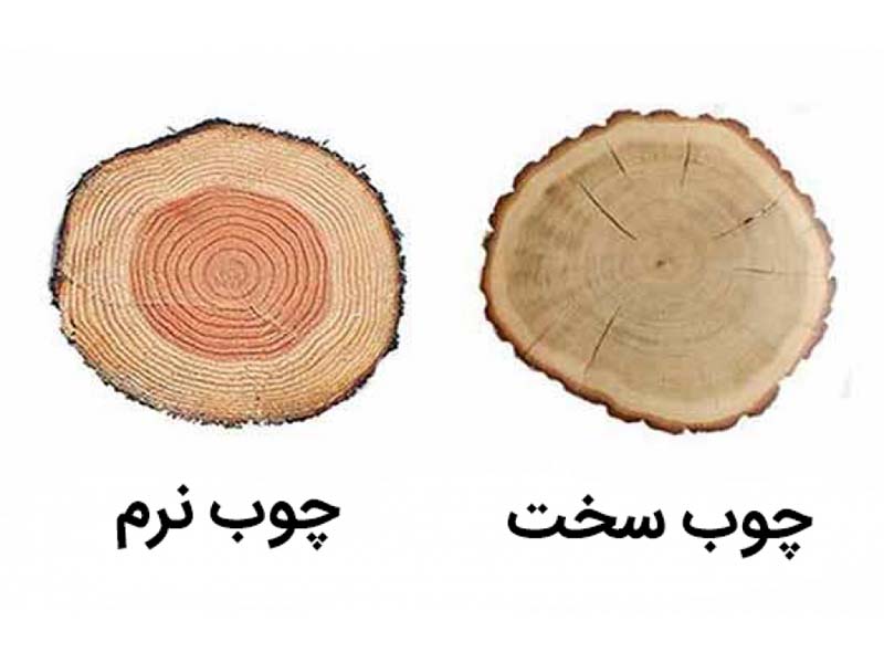 تنوع چوب